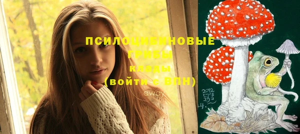 дмт Алзамай